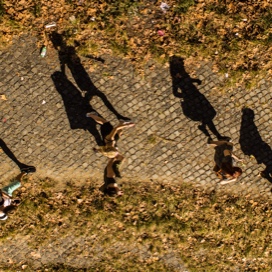 skyview of people running